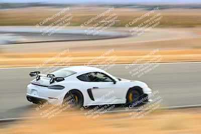 media/Dec-28-2024-Extreme Speed (Sat) [[dd5bc3b342]]/Purple Group/Session 1 (The Bowl)/